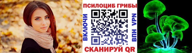 Купить  Шиханы  Псилоцибиновые грибы MAGIC MUSHROOMS 